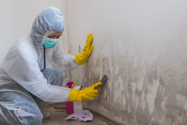 Best Water Damage Restoration  in Amador Pines, CA