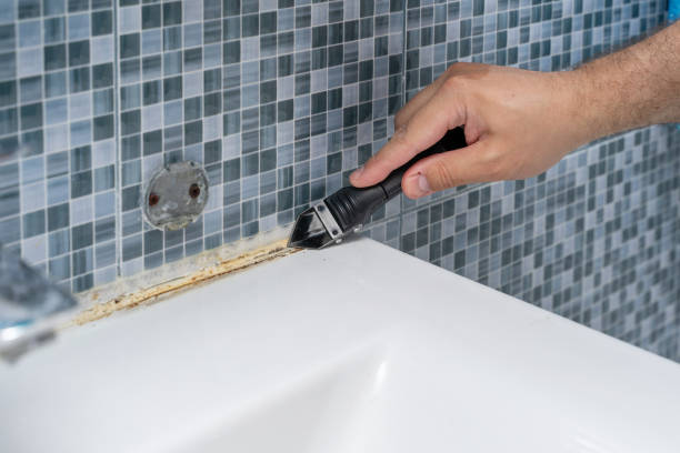 Office Mold Removal Services in Amador Pines, CA