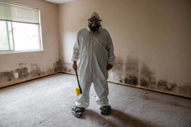Best Mold Remediation Experts  in Amador Pines, CA