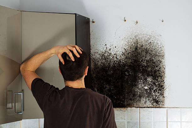 Best Commercial Mold Removal  in Amador Pines, CA